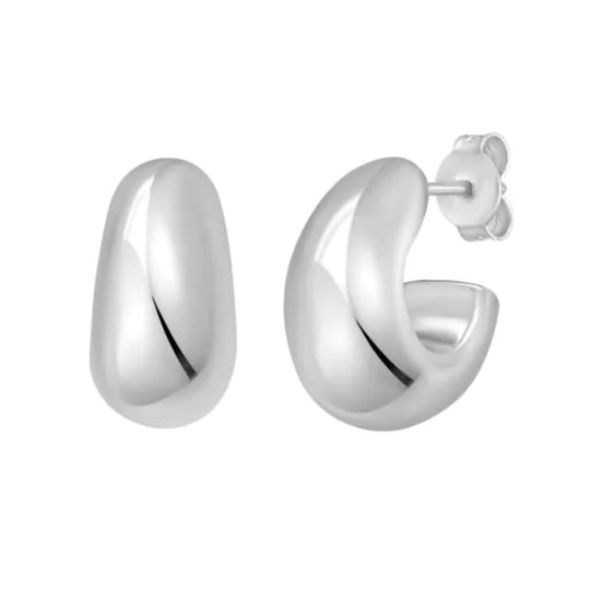 Sterling Silver Earrings AGE16796