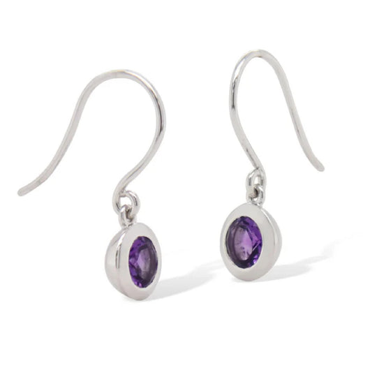 Joryel Vera Sterling Silver Amethyst Dangle Earrings E4113AM