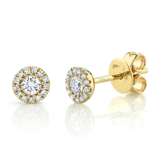 Shy Creation 14K Yellow Gold Diamond Halo Stud Earrings SC55002600
