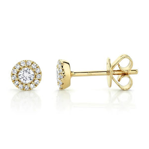 Shy Creation 14K Yellow Gold Diamond Halo Stud Earrings SC55002600